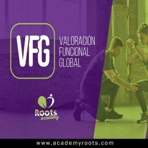 Curso Valoracion funcional global